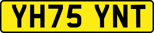 YH75YNT