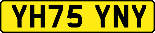 YH75YNY