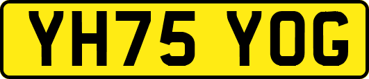 YH75YOG