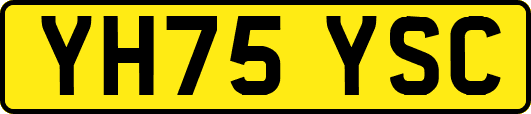 YH75YSC