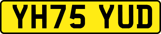 YH75YUD