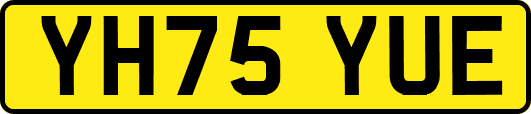 YH75YUE