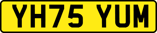 YH75YUM