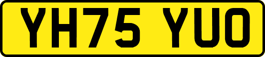 YH75YUO
