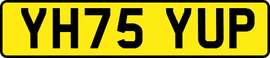 YH75YUP