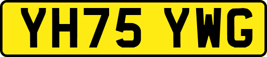 YH75YWG