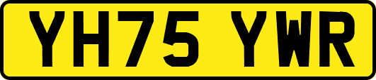 YH75YWR