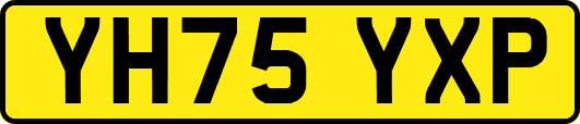 YH75YXP