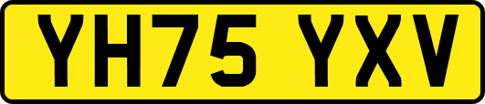 YH75YXV