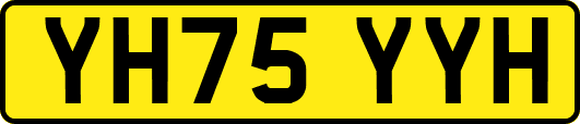 YH75YYH