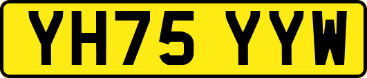 YH75YYW