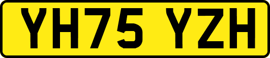 YH75YZH