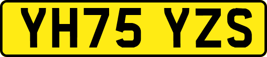YH75YZS