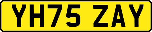 YH75ZAY