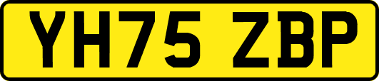 YH75ZBP