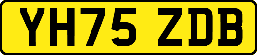 YH75ZDB