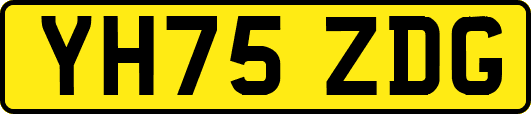 YH75ZDG