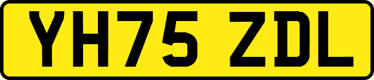 YH75ZDL
