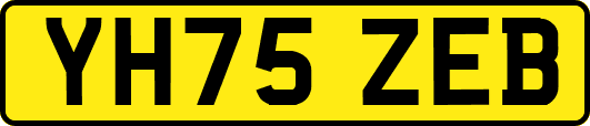 YH75ZEB