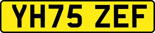 YH75ZEF