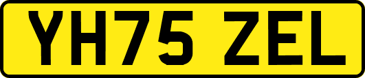 YH75ZEL
