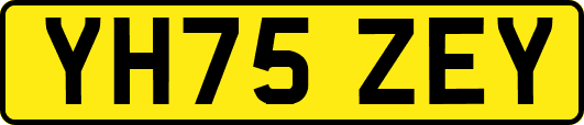YH75ZEY