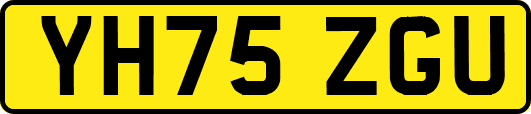 YH75ZGU