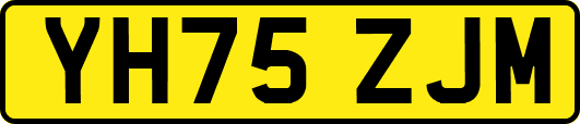 YH75ZJM