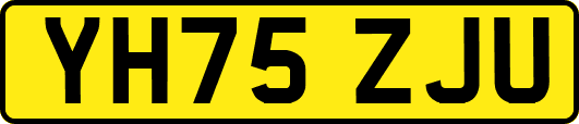 YH75ZJU