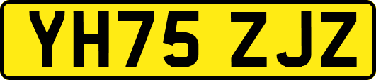 YH75ZJZ