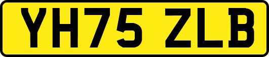 YH75ZLB