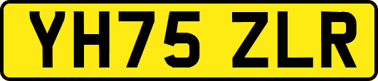 YH75ZLR