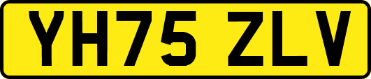 YH75ZLV