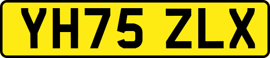 YH75ZLX