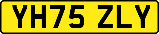 YH75ZLY