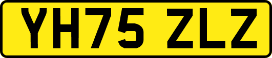 YH75ZLZ