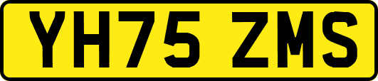 YH75ZMS