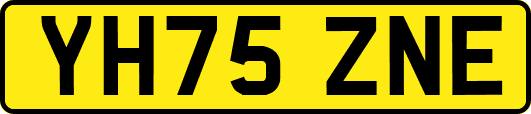 YH75ZNE