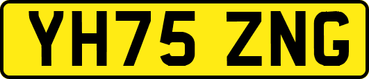 YH75ZNG