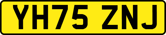 YH75ZNJ