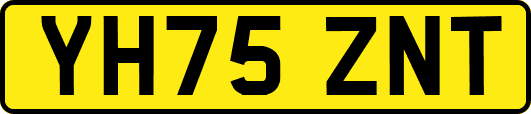 YH75ZNT