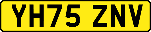 YH75ZNV