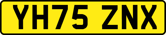 YH75ZNX