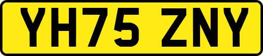 YH75ZNY
