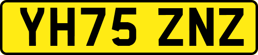 YH75ZNZ