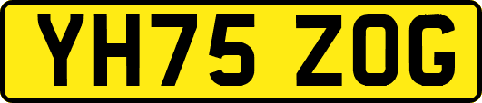 YH75ZOG