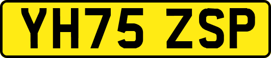 YH75ZSP