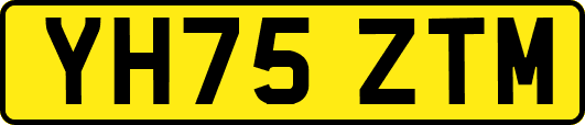 YH75ZTM