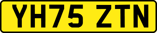 YH75ZTN