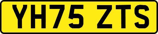 YH75ZTS